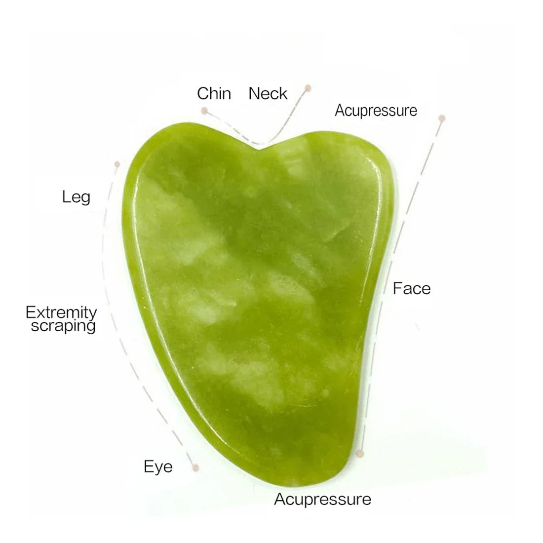 Rituel Jade™ – Duo Tonifiant Visage & Gua Sha Naturel